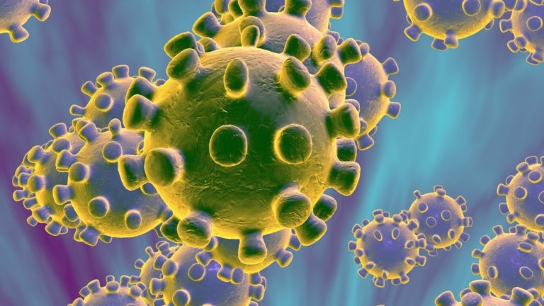 រកឃើញករណីឆ្លង Virus Corona មកពីប្រទេសចិននៅប្រទេសជប៉ុន