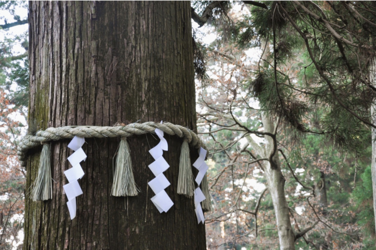 ទំនាក់​ទំនង​រវាង​អាទិទេព និង​ពិភព​លោក​តាម​ទស្សនៈ​របស់​ប្រជាជនជប៉ុន